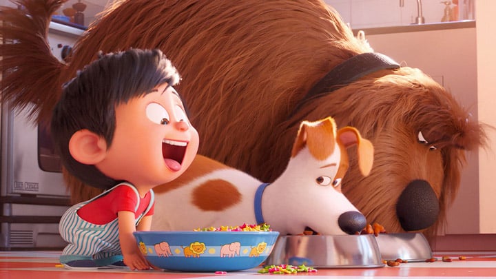 The Secret Life of Pets' Review